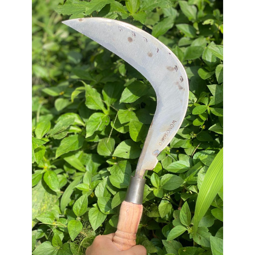 Arit rumput baja isen asli cap mata Wonosobo