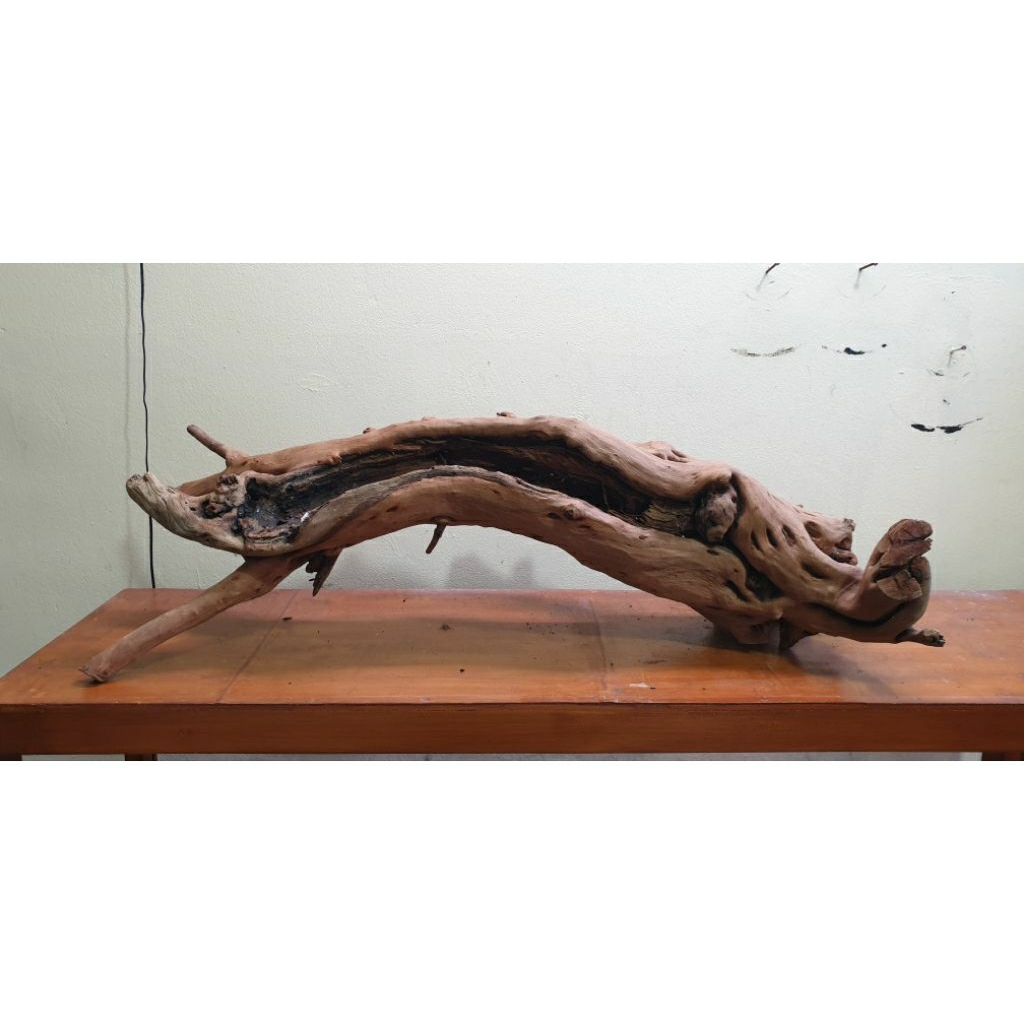 santigi laut tenggelam