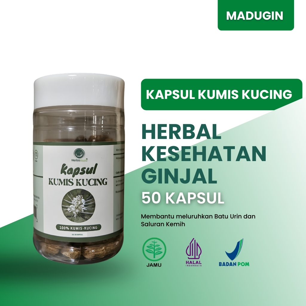 Kapsul Kumis Kucing Herbanusa Ekstak Herbal Alami 50 Kapsul Membantu Menurunkan kadar asam urat