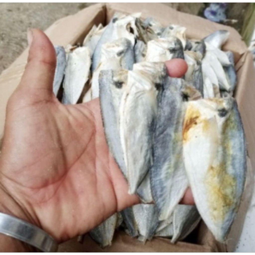 Ikan Asin Peda Buntung ( Kecil, Sedang )