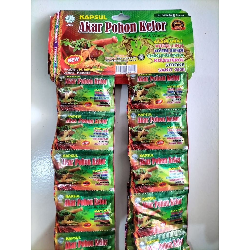 kapsul akar pohon kelor 20 sachet