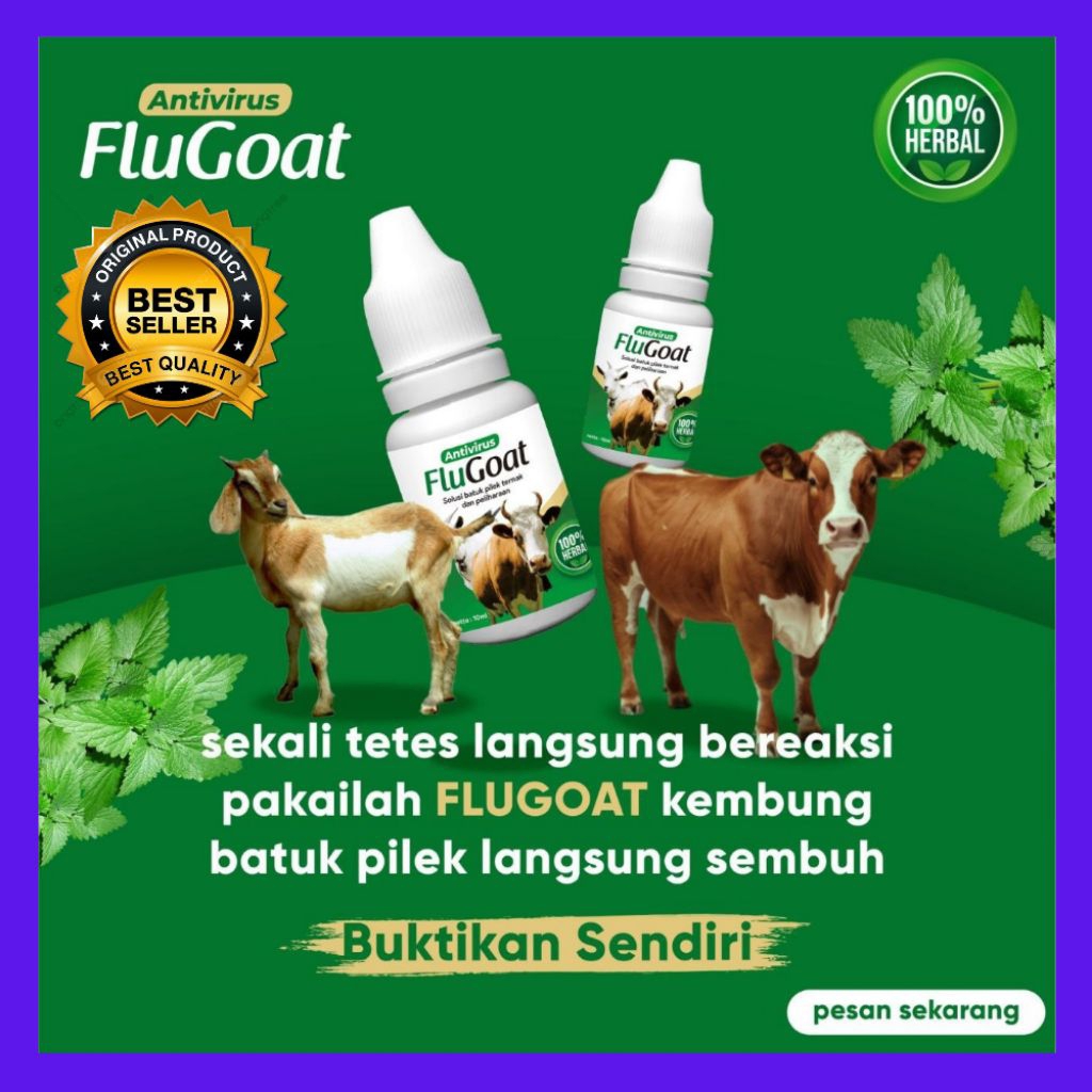 BERKUALITAS  Obat Kambing Flu Batuk, Obat Kambing Flu Dan Batuk, Obat Kambing Flu Herbal