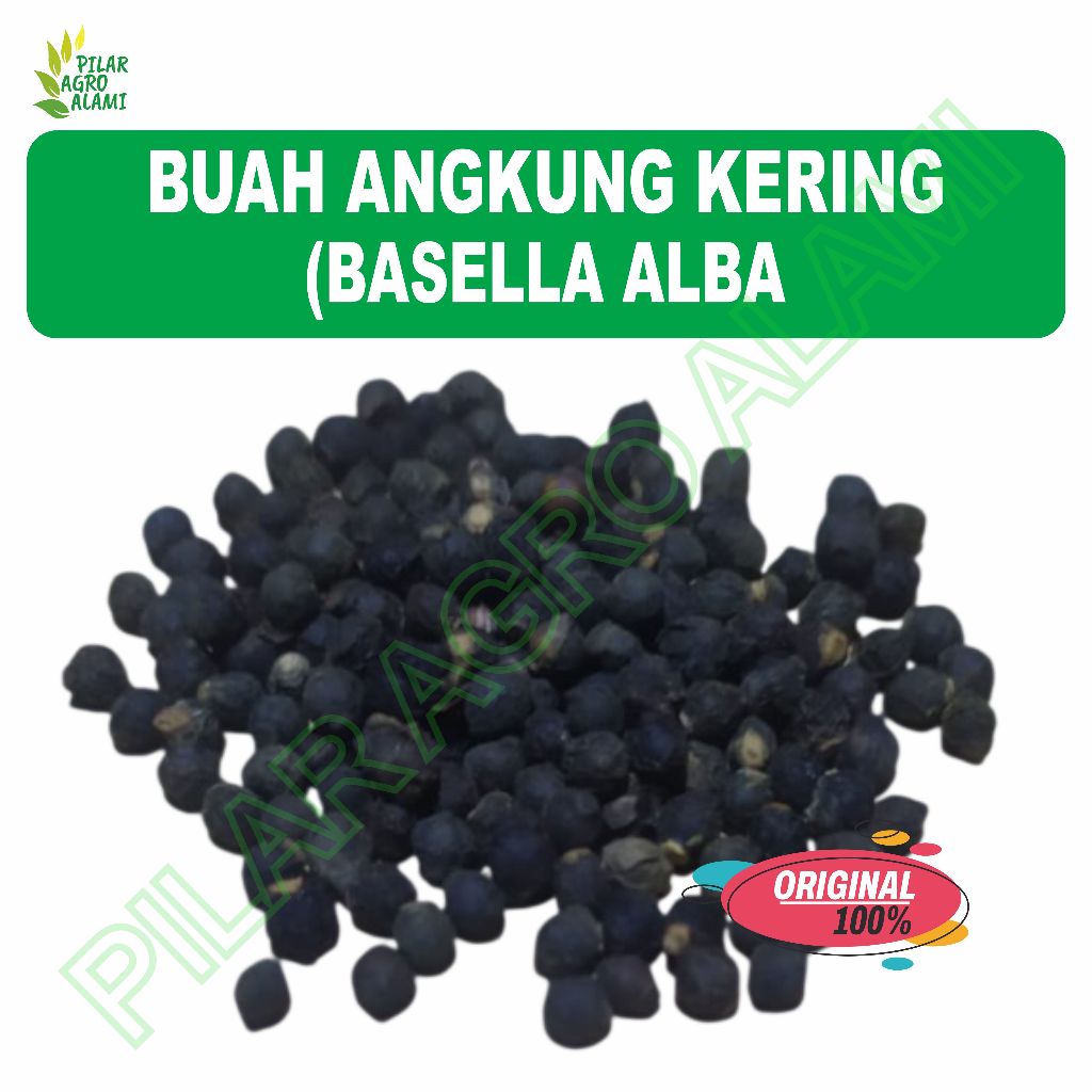 Buah angkung kering untuk obat stroke