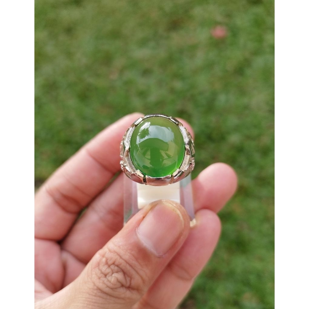 Ijo botol serpentine