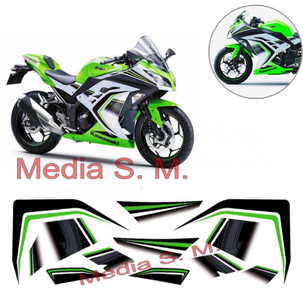 Sticker Striping Ninja 250FI 250 fi Tahun 2016 - 2017 ( ABS Limited Edition )