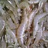 UDANG VANAME KECIL 1KG 1kg