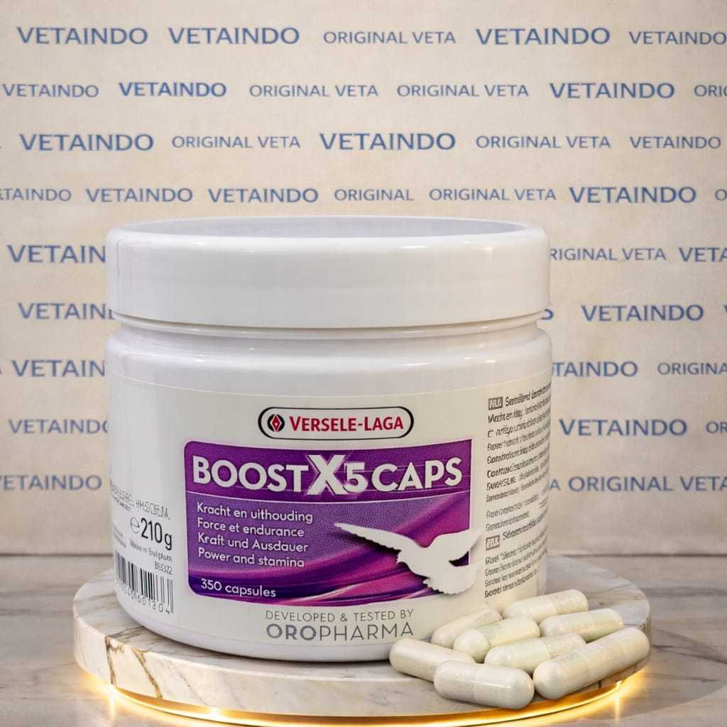 BOOST X5 CAPS VERSELE LAGA STAMINA BURUNG MERPATI TENAGA LOMBA LATIHAN BOOST X5 IMPORT
