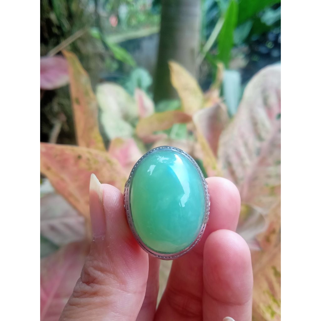 ijo garut cikolak original