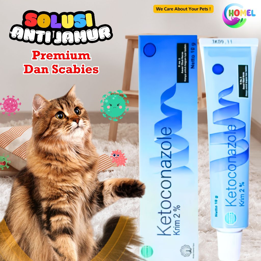 Salep Jamur KETOCONAZOLE Solusi Mengobati Scabies Pada Kucing Anjing CHOMEL