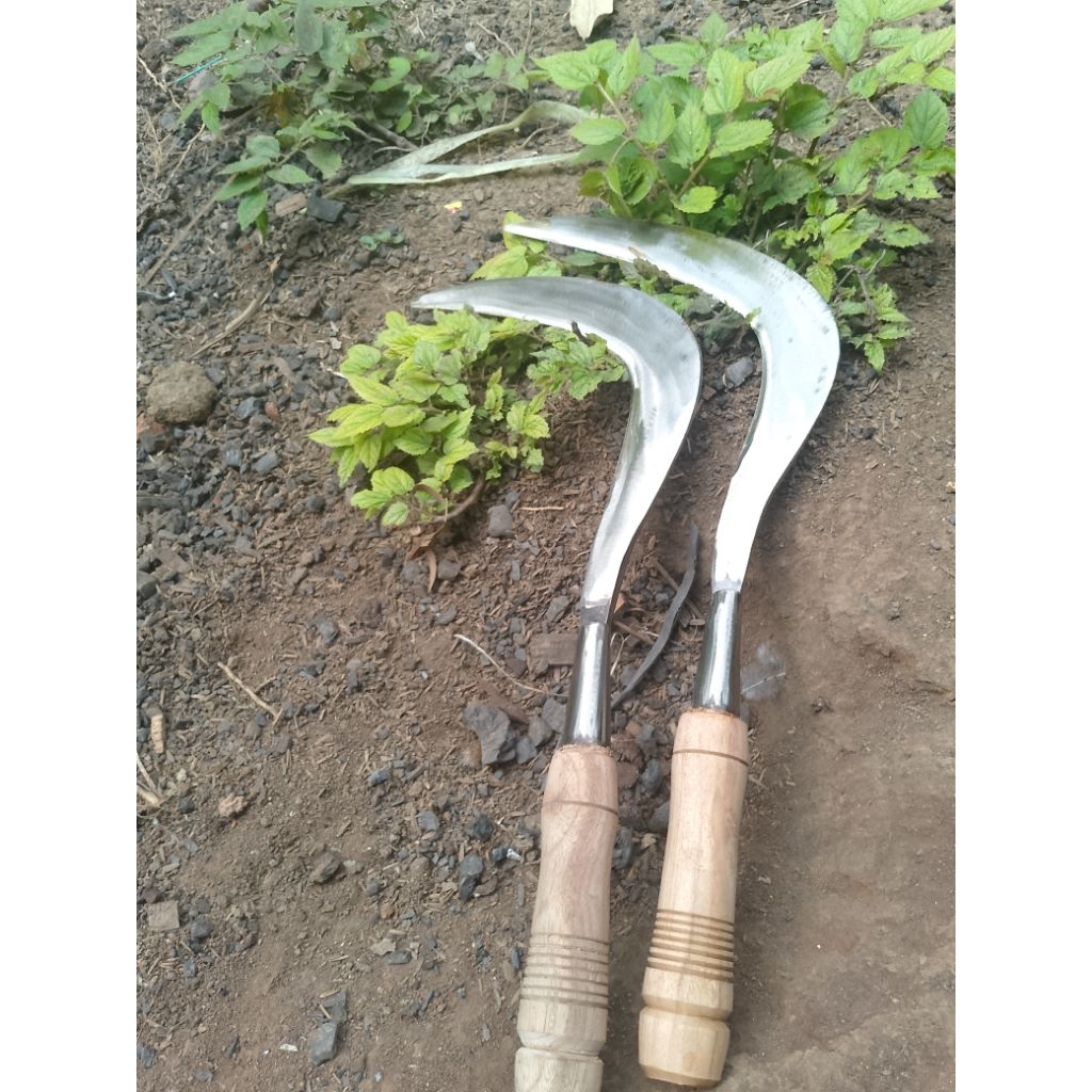 Aret baja putih arit rumput sabit baja cap bintang lima