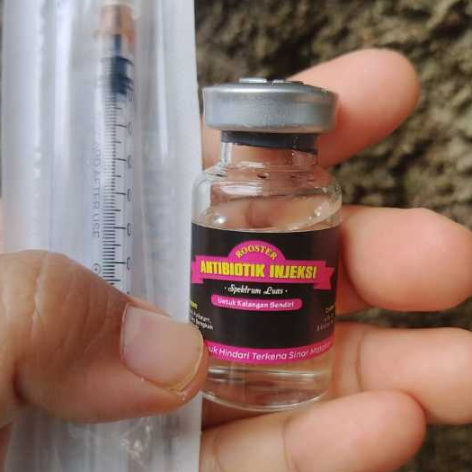 Rooster Antibiotik Injeksi 10 ml Obat Untuk Mengobati Ayam Sakit Lumpuh Mata Berair Hidung Berlendir