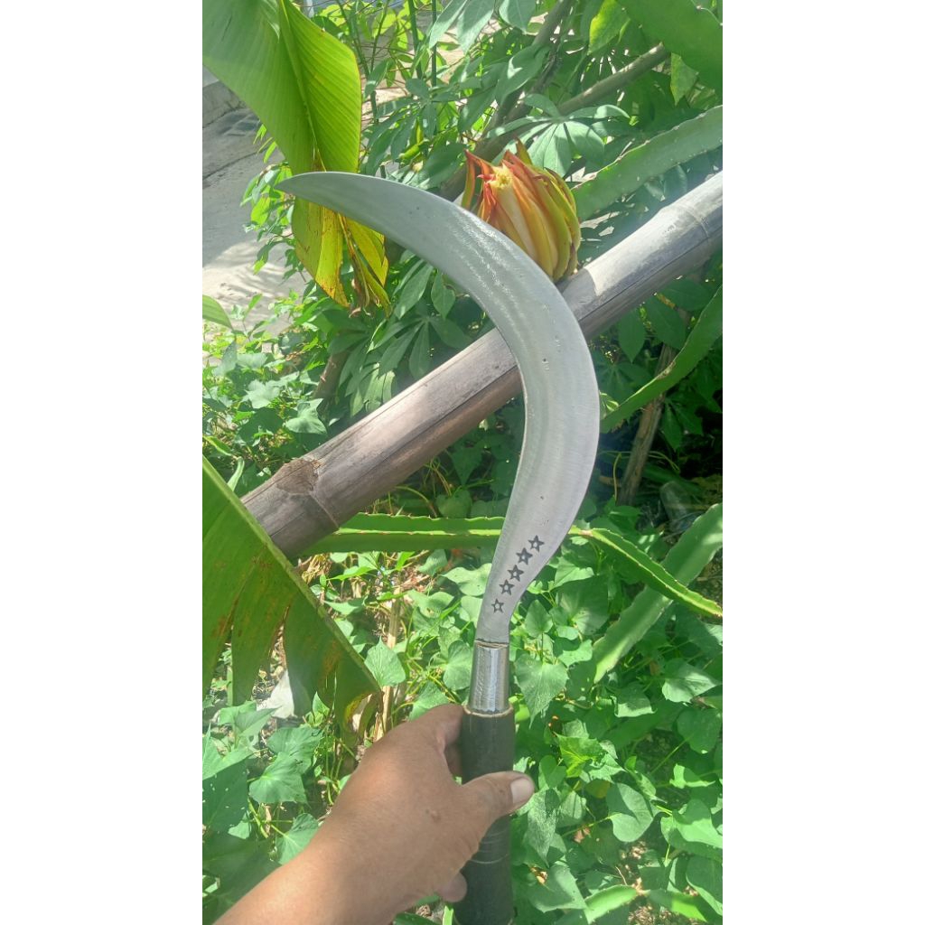 arit tebas kayu bambu & juga tebu * 5 khusus kebun