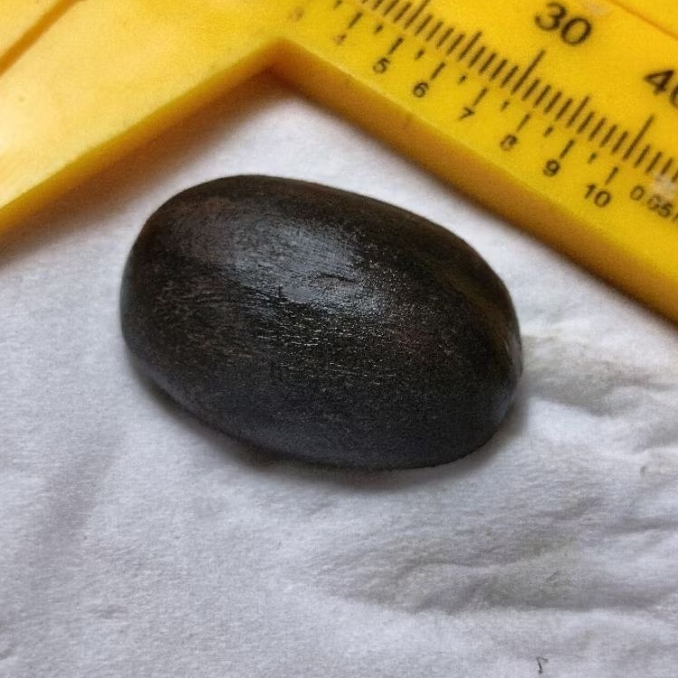 Cincin kayu wunglen original