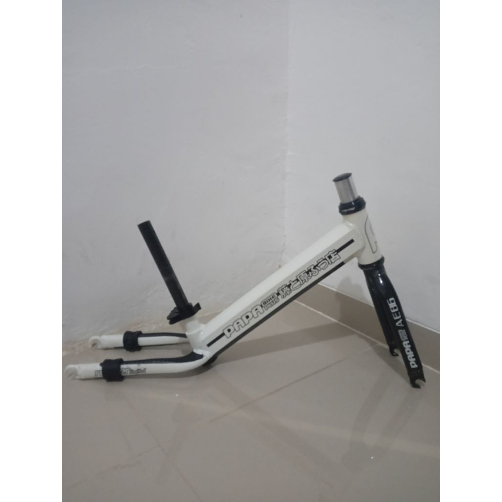 Pushbike Carbon Frame Papabike Runnerpro