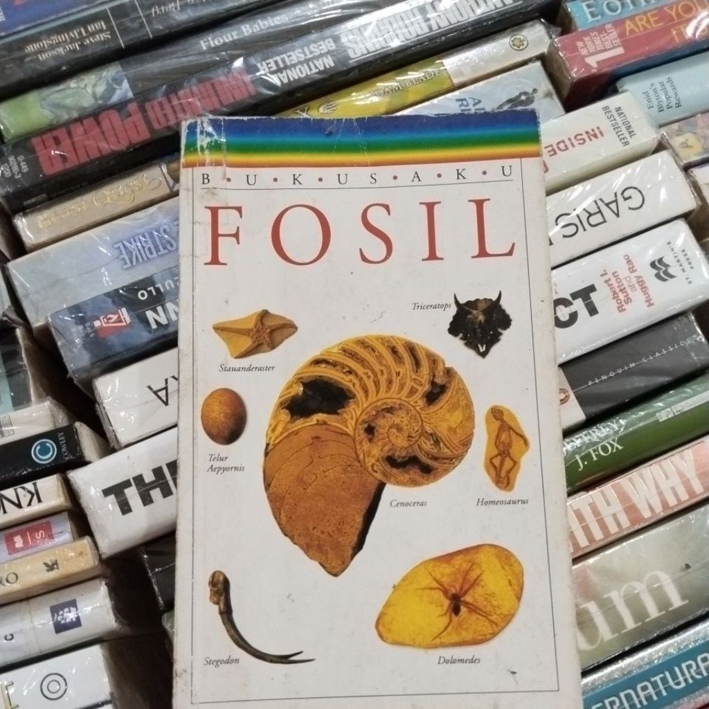 BUKU ORIGINAL FOSIL