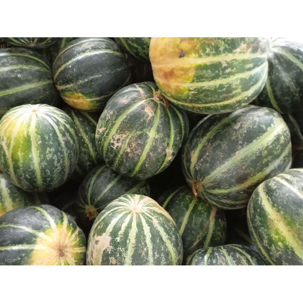 Buah Belewah Blewah segar wangi