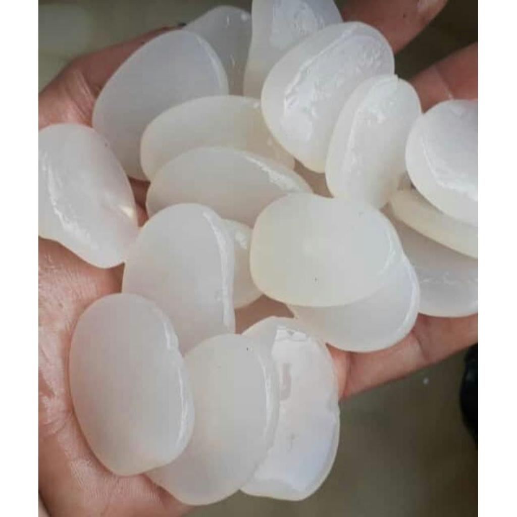 kolang kaling fresh buah aren kolang kaling mentah 1kg