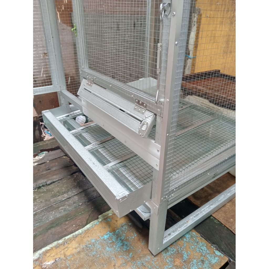 Kandang ayam petelur