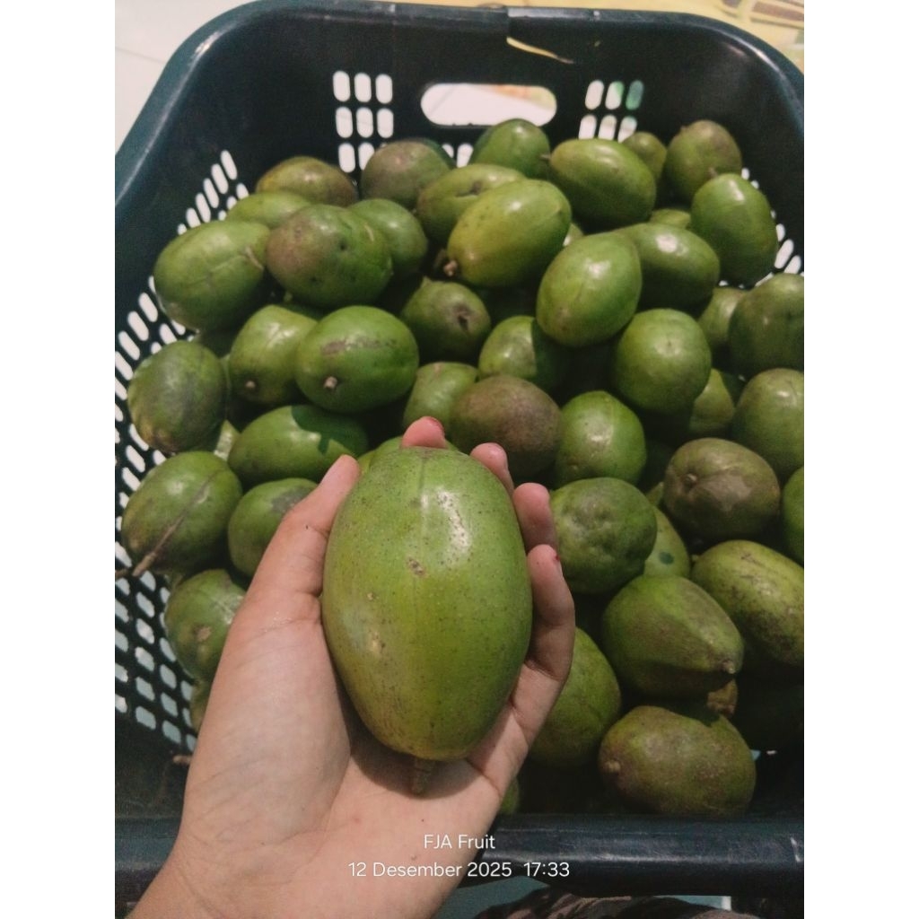 kedondong fresh/buah kedondong/kedondong bangkok