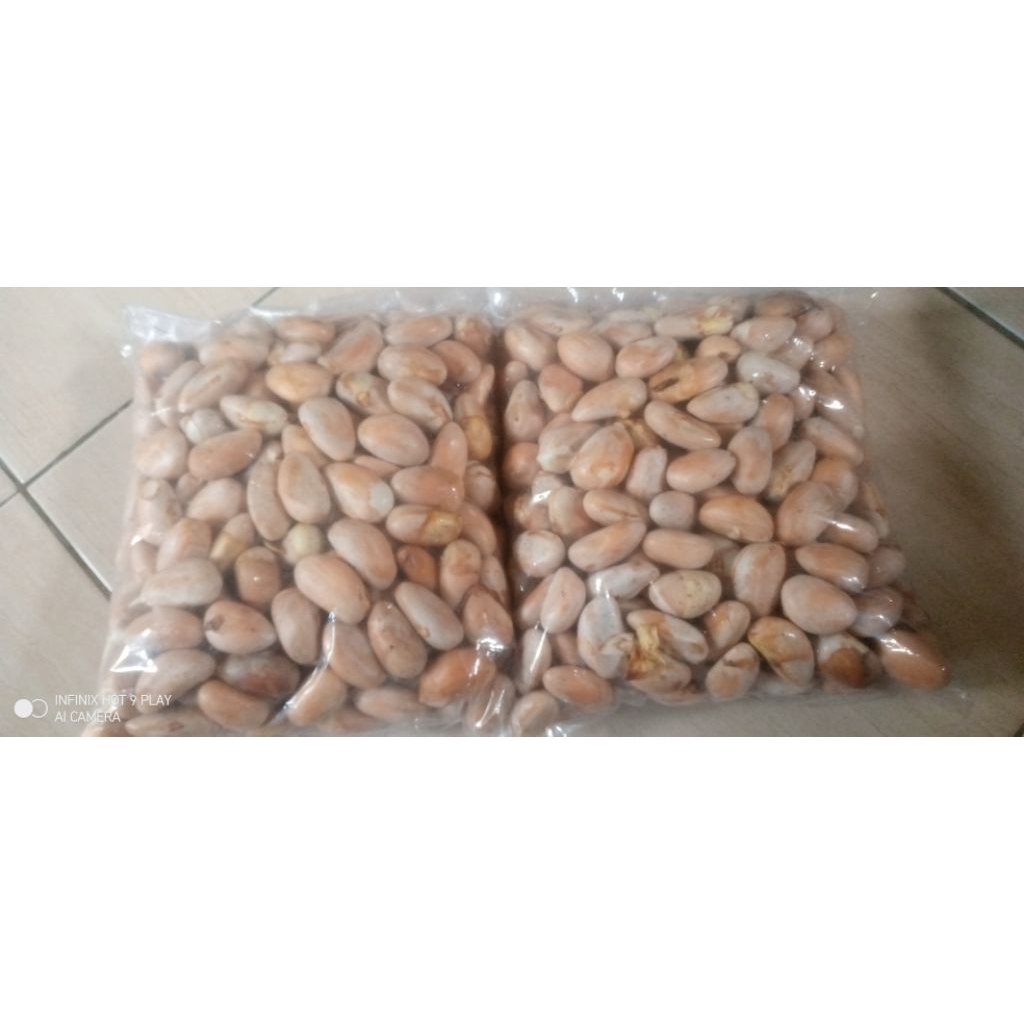 jual biji nangka beton segar 1kg