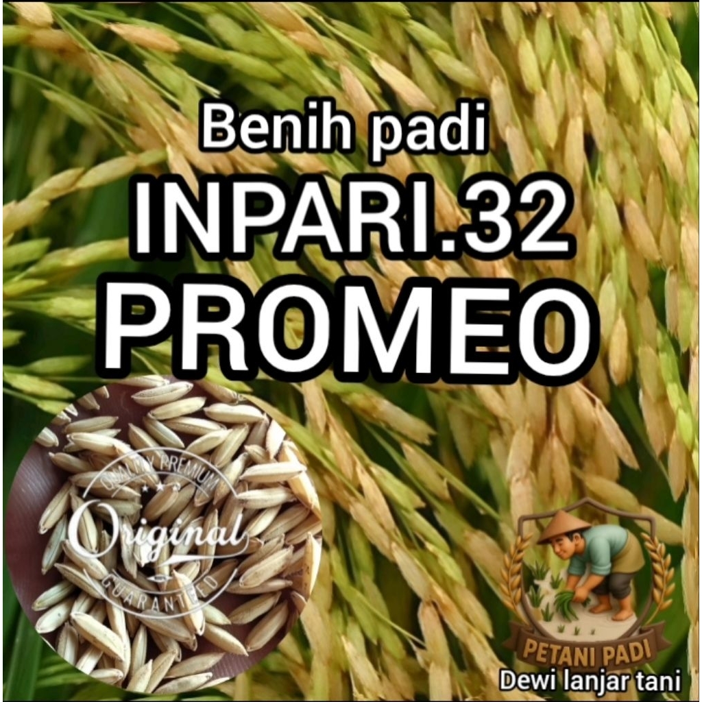 BENIH PADI INPARI PROMEO 32 KEMASAN 5KG