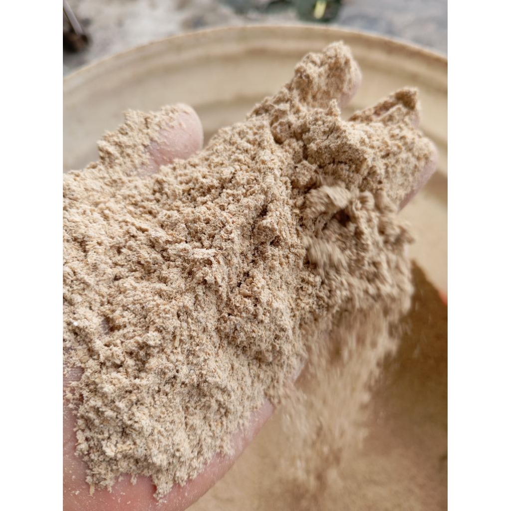 dedak bekatul pakan ternak