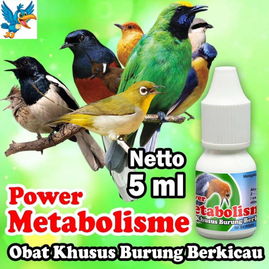 POWER METABOLIS OBAT BURUNG BERKICAU