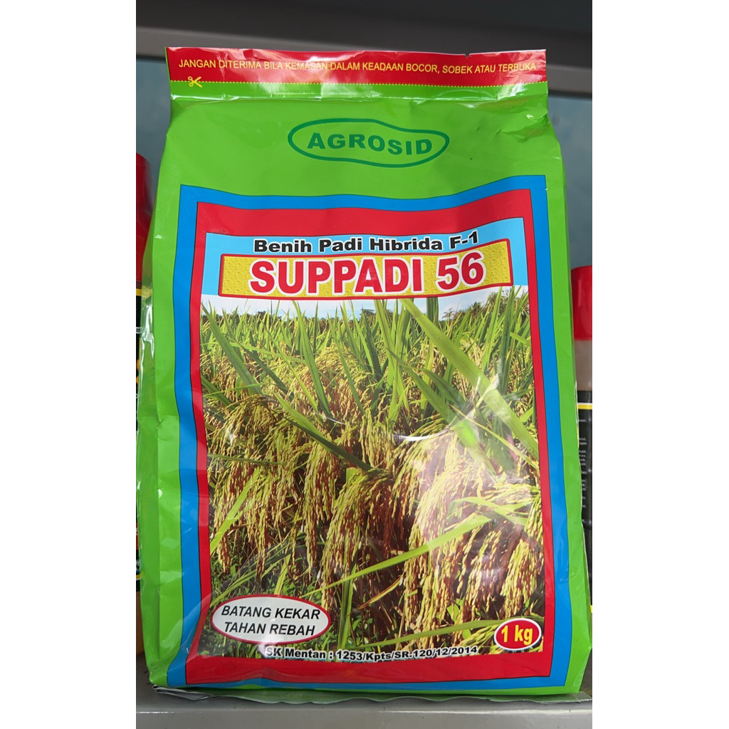 Benih Padi Hibrida Suppadi 56 Original