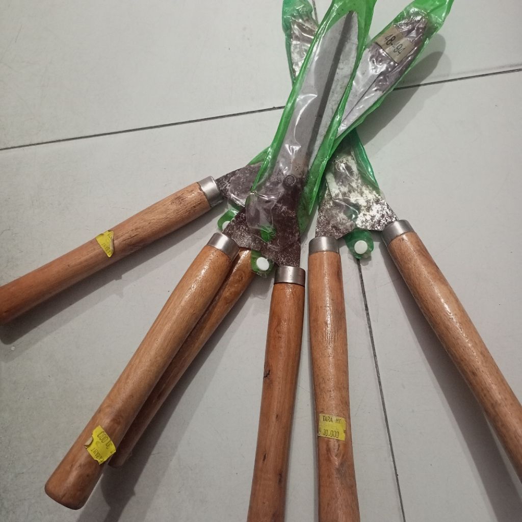 pemotong rumput manual