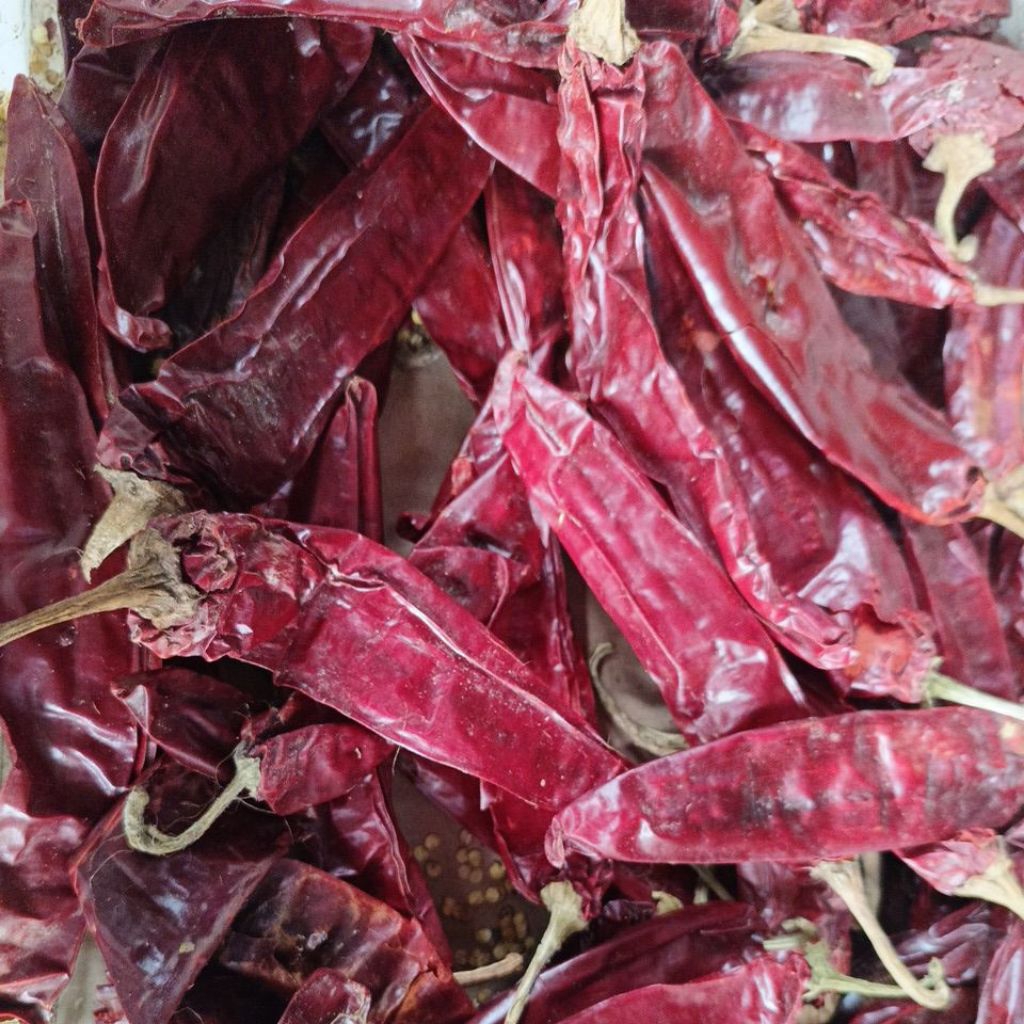 cabe merah besar kering super