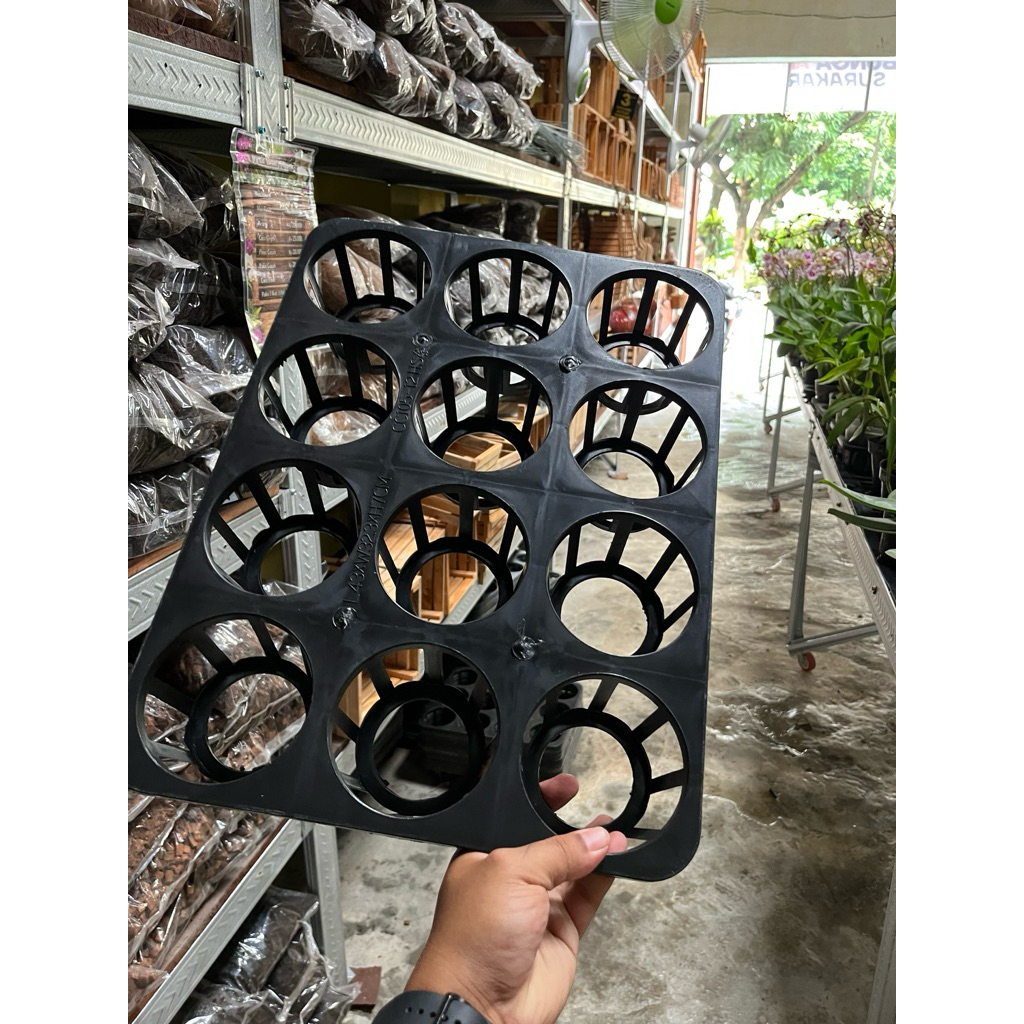 tray Baru Tanaman Anggrek