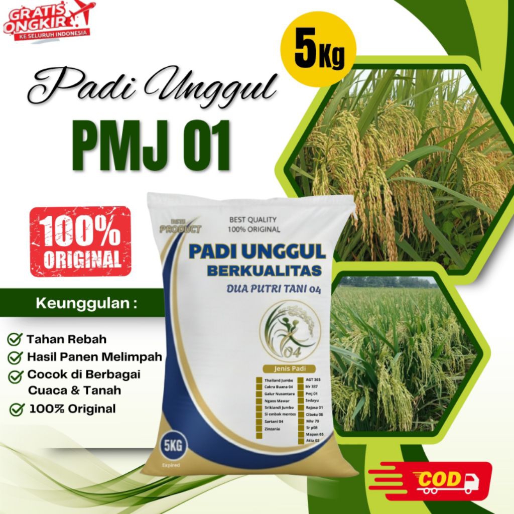 Bibit Padi Unggul PMJ 01 Kemasan 5kg