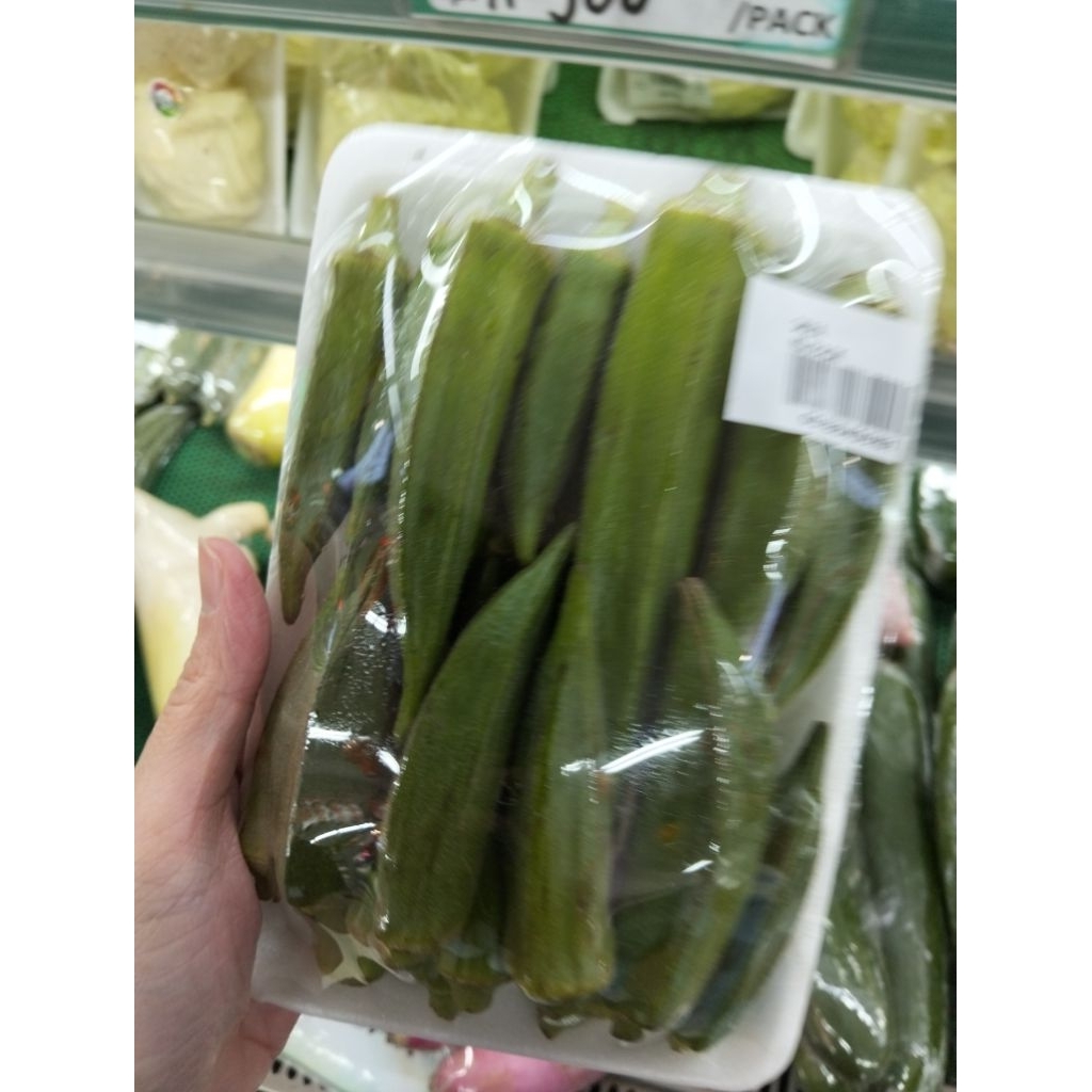 Okra Hijau / Sayur Okra Hijau / Green Okra