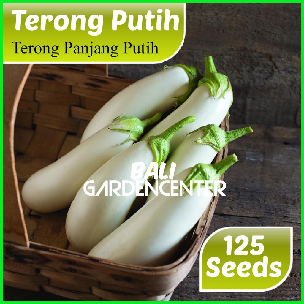 Isi 125 Benih Biji Terong - Terong Panjang Putih