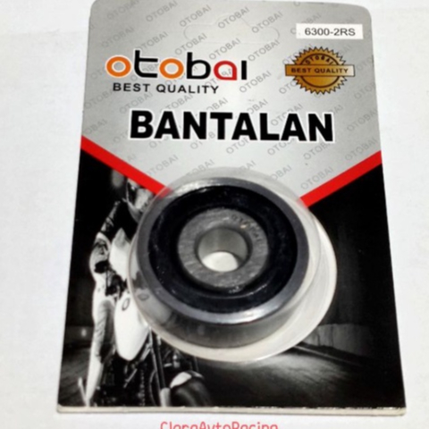 Bearing 6300 2Rs Otobai Bearing Lahar 6300 2Rs Quality
