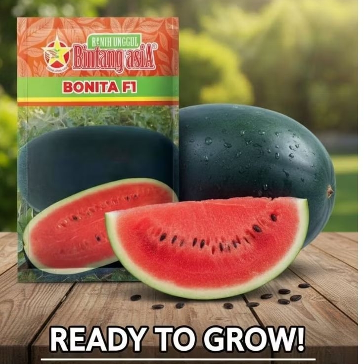 Benih Semangka BONITA F1 20 Gram Bintang Asia