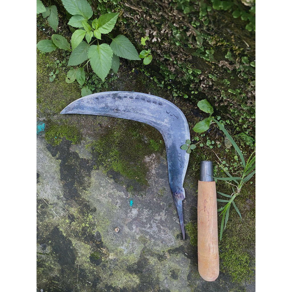 arit rumput sabit pengaritan baja isen