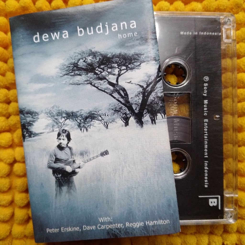 KASET PITA DEWA BUDJANA - HOME