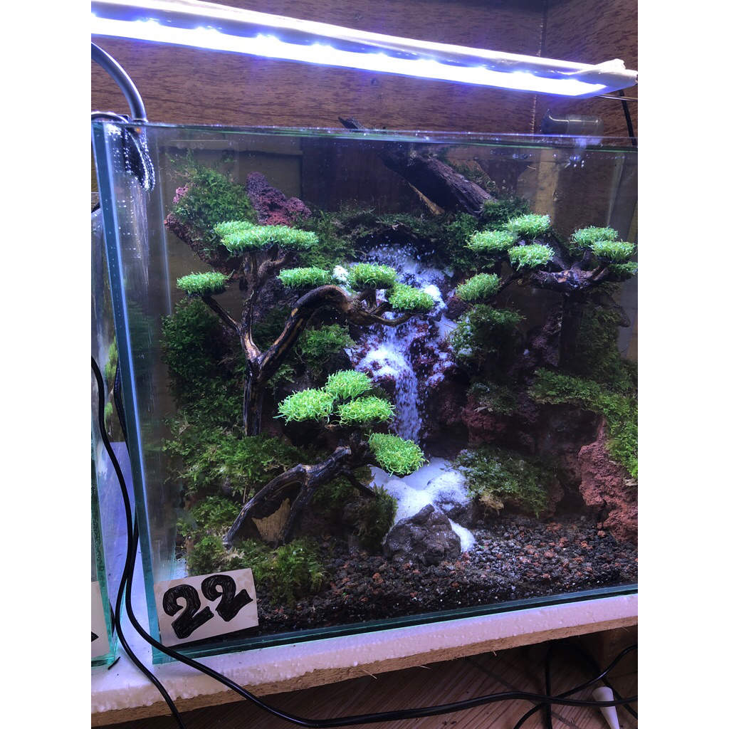 aquascape waterpall/air terjun fullset size 40x30x30 cm siap pandang
