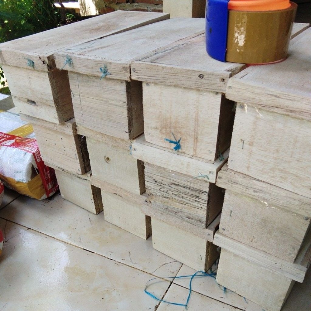 lebah madu klanceng ,