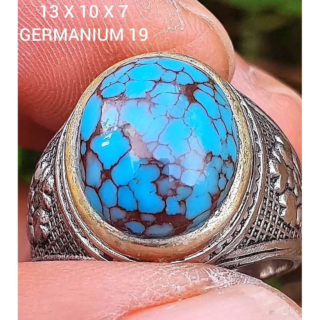 pirus mesir lawasan 239