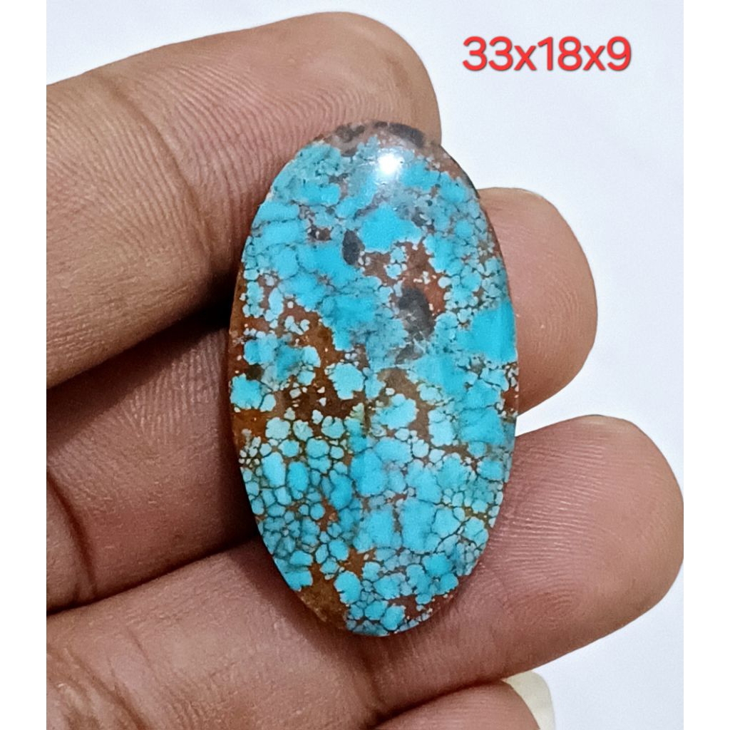 Pirus Persia Biru Fancy 0078