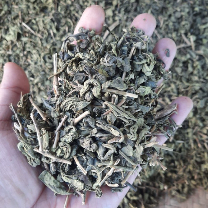 teh hijau taraju ( Grosir )