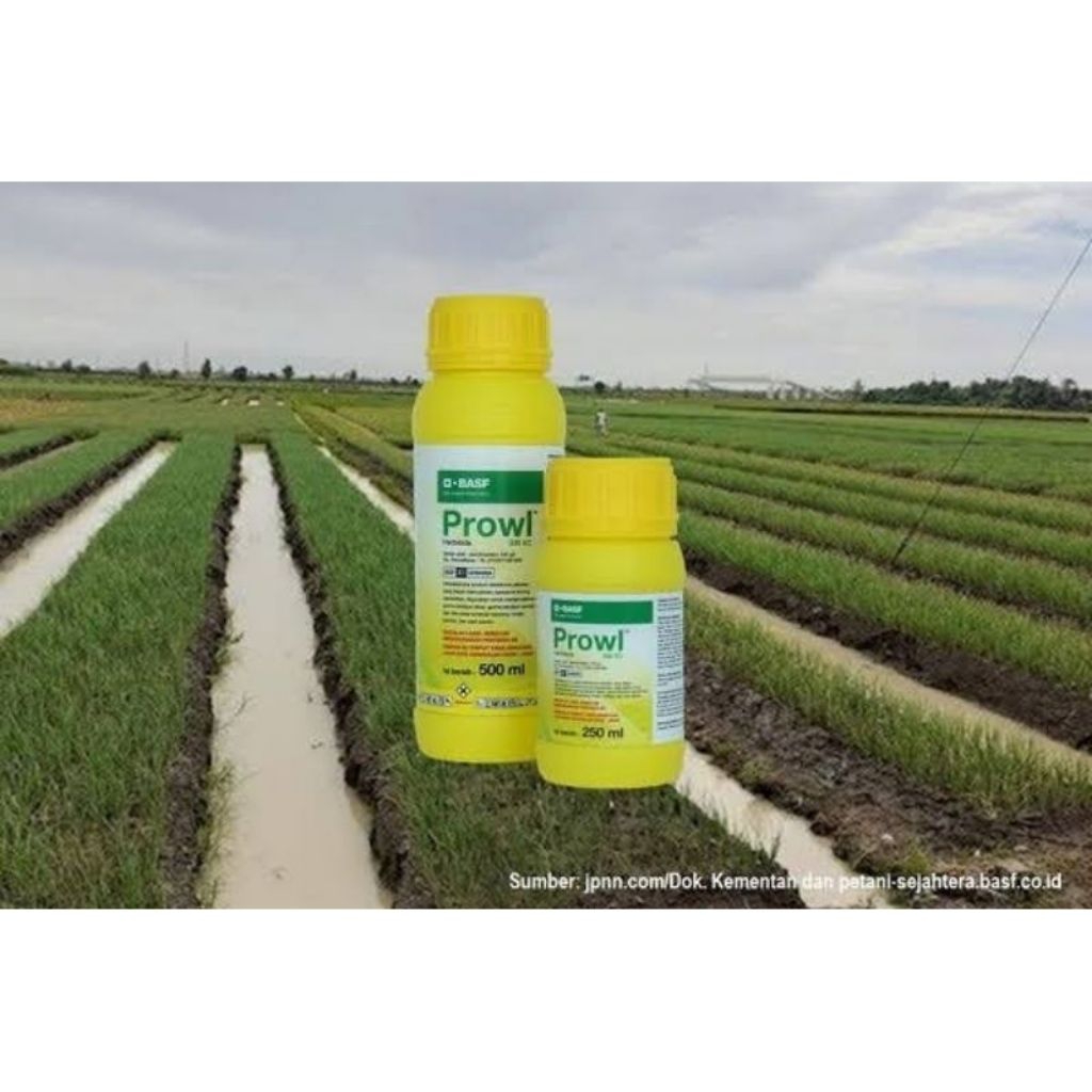 Herbisida PROWL 330ec 250ml