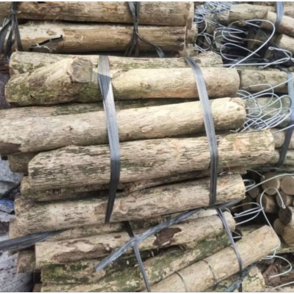 Pot kayu Kopi gantung buat tempel media tanaman anggrek