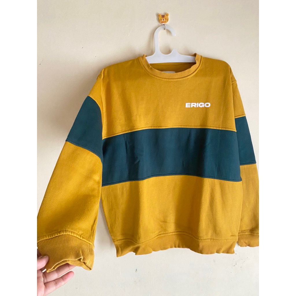 Sweater Erigo
