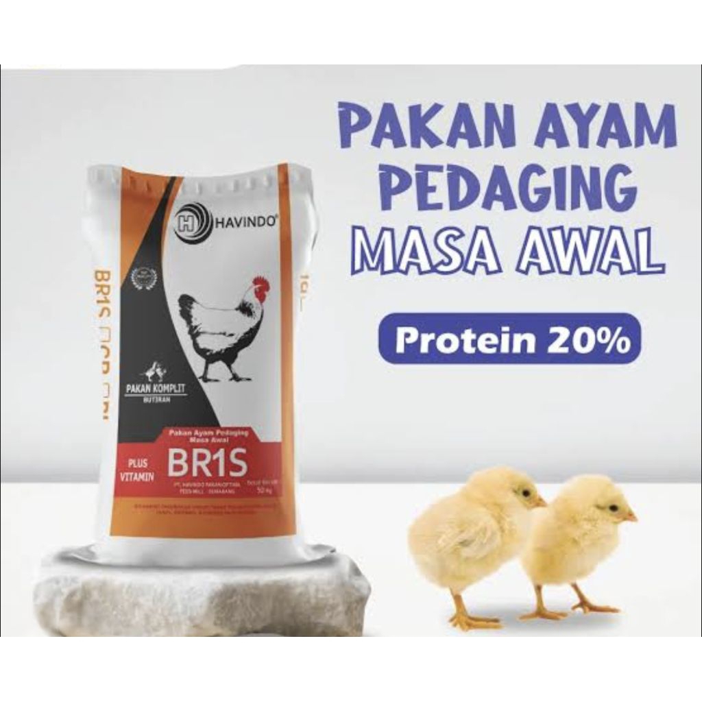 Br1S havindo pakan ayam pedaging