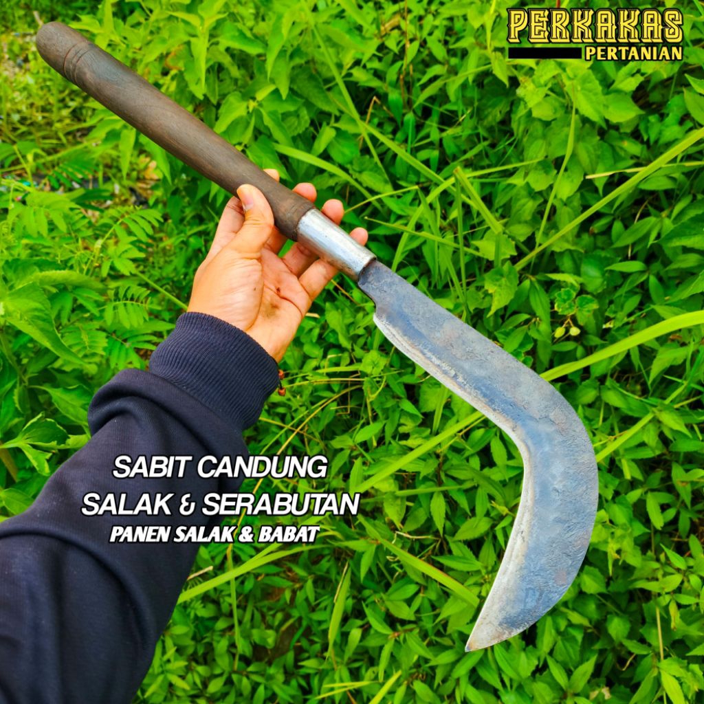 Sabit salak dan serabutan sabit candung full baja dibuat dari baja per