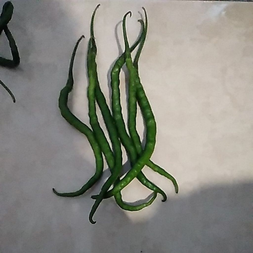 Cabe Keriting lokal - petik hijau (CMK) 1kg