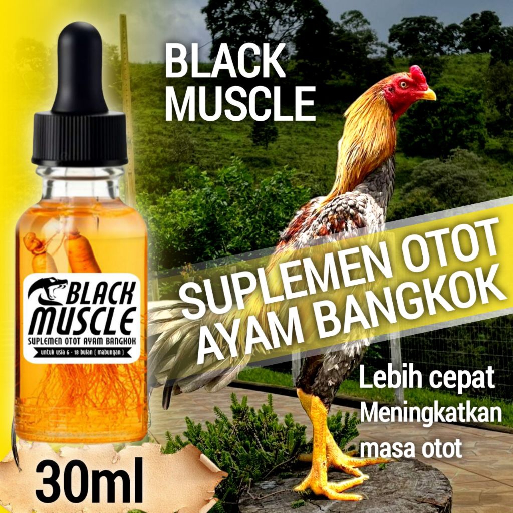 Vitamin masa otot ayam aduan